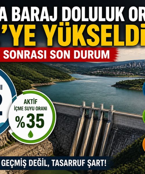 Anasayfa